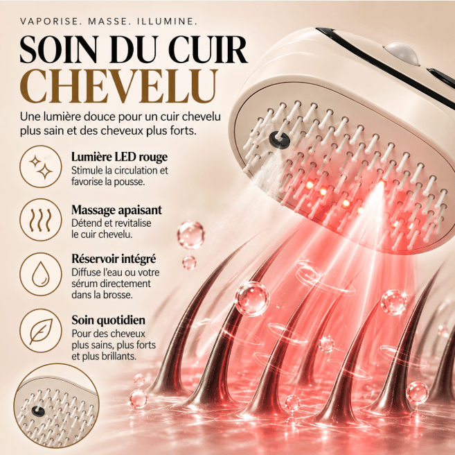 Brosse Vapeur LED 5-en-1