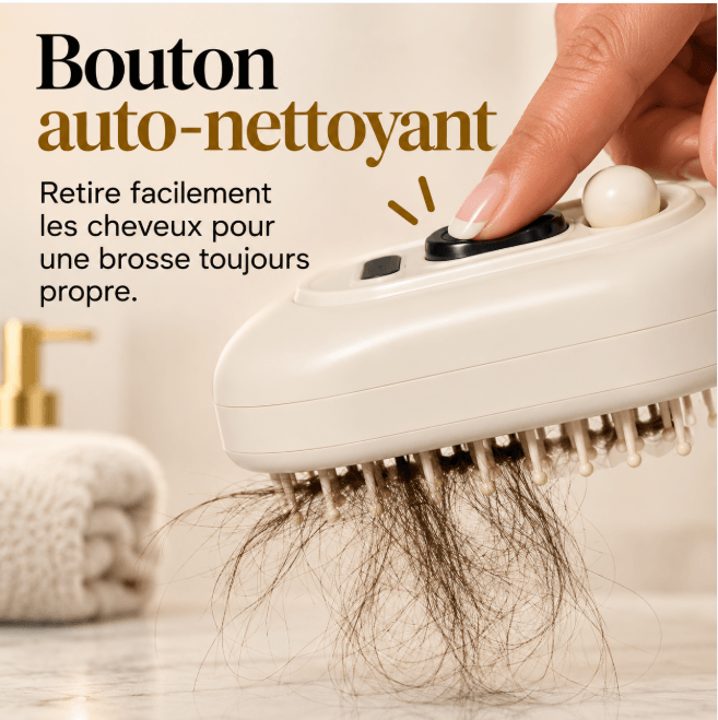 Brosse Vapeur LED 5-en-1